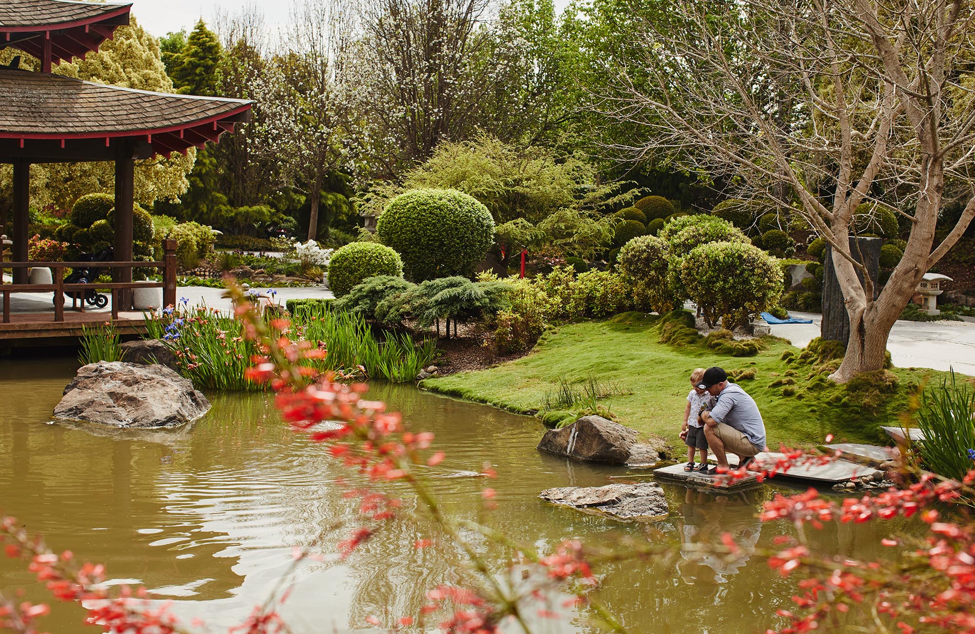 Oriental Garden - Hunter Valley Gardens