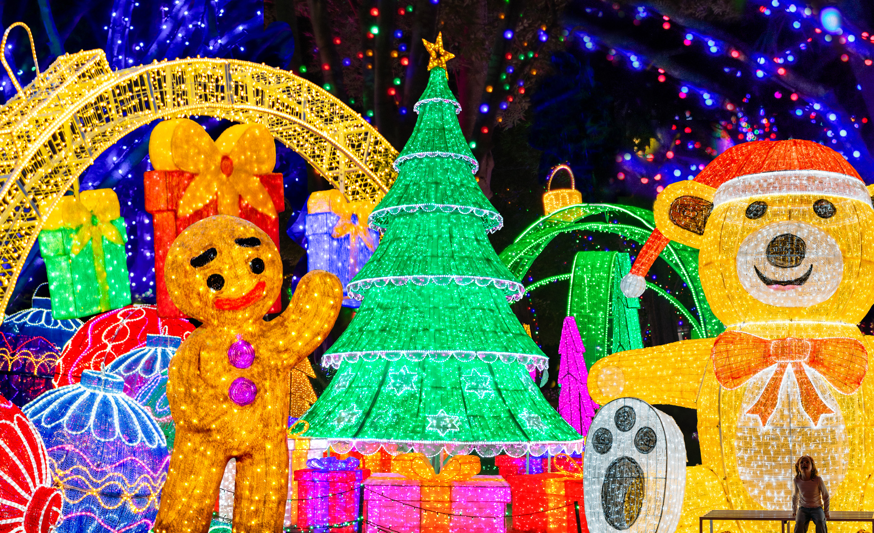 Christmas Lights Spectacular at Hunter Valley Gardens